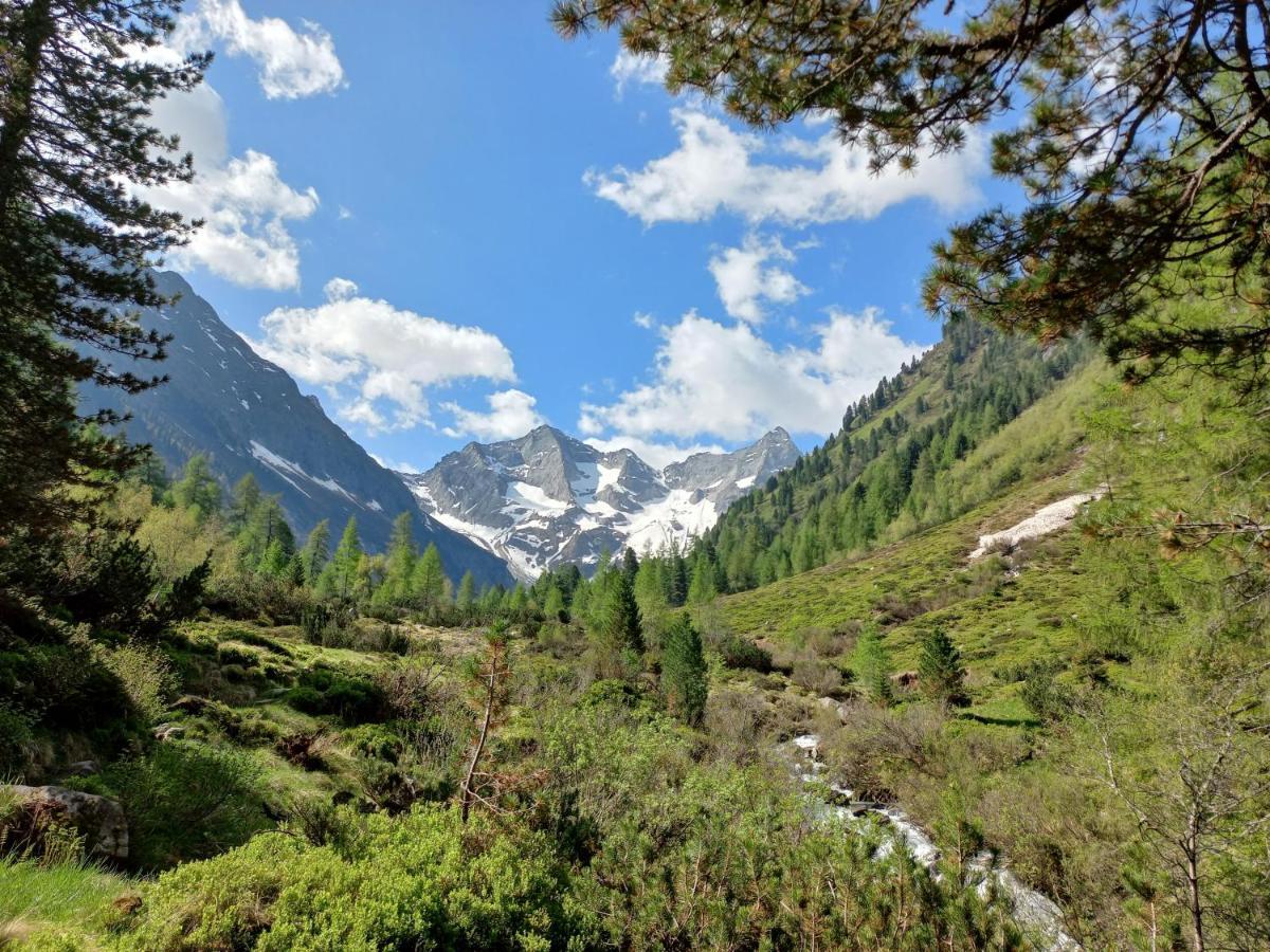 Appartement Summerer Peter Mayrhofen Eksteriør billede